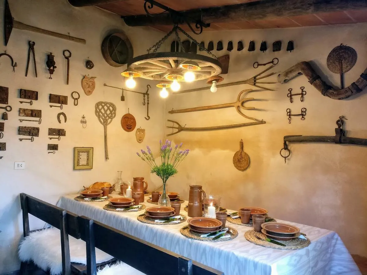 Lovehaus Terra Rotja Esporles
